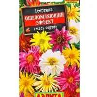 Семена цветов Георгина Ошеломляющий эффект, смесь сортов , Ц/П,10 шт.