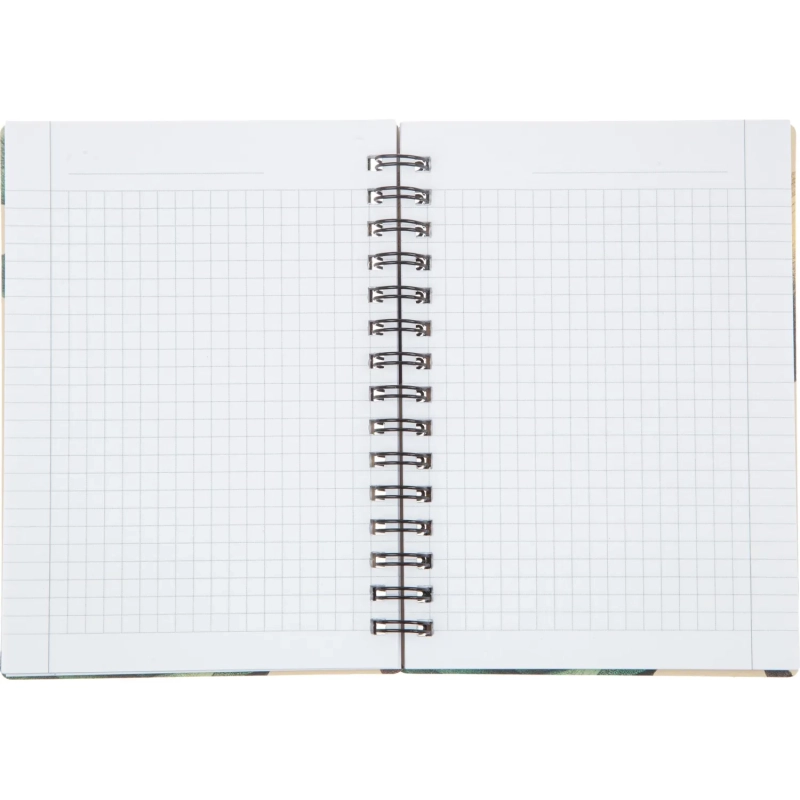 Блокнот BS, 102х142мм, 80л., клетка,  спираль. Flora, черный, N4253