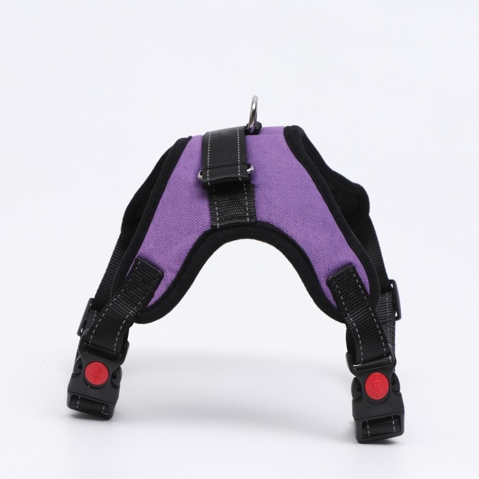 Шлейка К7 мягкая светоотражающая, размер L, ОГ 64-86 см, вес 18- 27,5 кг, фиолетовая Шлейка К7 мягкая светоотражающая, размер L, ОГ 64-86 см, вес 18- 27,5 кг, фиолетовая