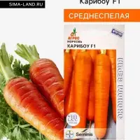 Семена Морковь, &laquo;Карибоу&raquo;, F1, 200 шт., Seminis, &laquo;Агрос&raquo;