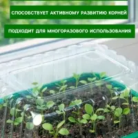 Мини - парник для рассады, 21&times;16&times;12, без вставок, пластик, Greengo