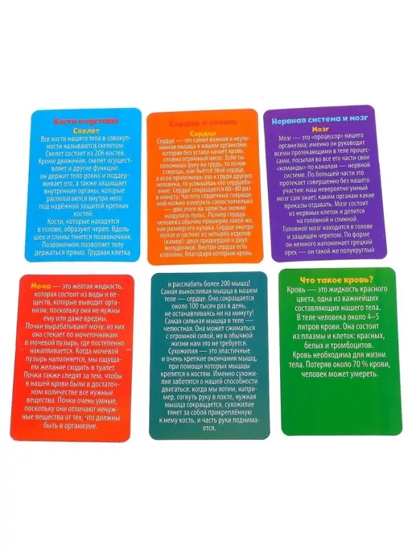 Набор для опытов &laquo;Мое удивительное тело&raquo;