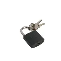 Замок навесной ТУНДРА OneKey001, 25 мм, с одной секретностью, 2 ключа