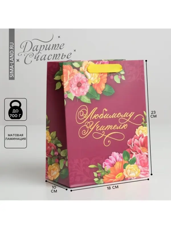 Пакет подарочный ламинированный, упаковка, «Любимому Учителю», MS 18 х 23 х 10 см