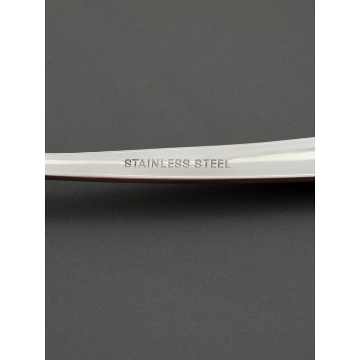 Набор ложек столовых 6 шт, 19,3 см Доляна Набор ложек столовых 6 шт, 19,3 см Доляна "Верона" толщина 2 мм