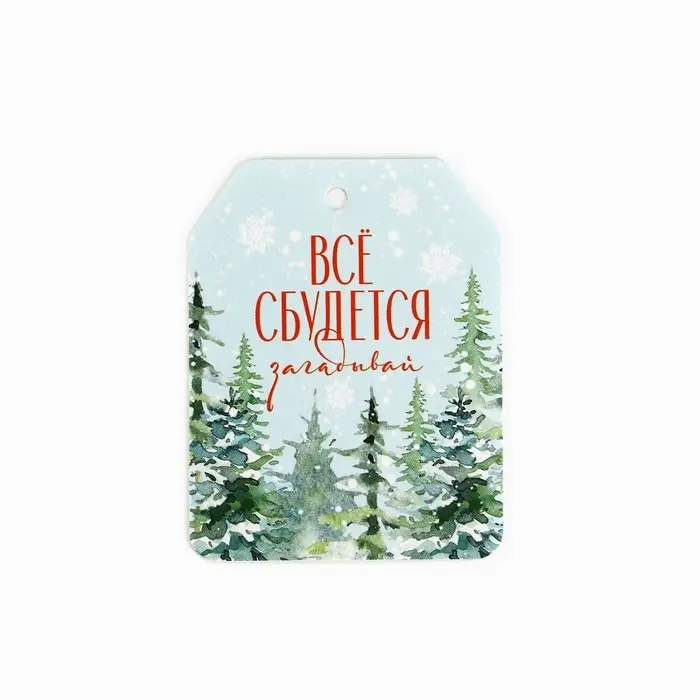 Шильдик на подарок «Верь в чудеса», набор 6 штук, 16×24 см Шильдик на подарок «Верь в чудеса», набор 6 штук, 16×24 см