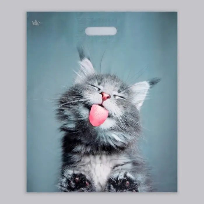 Пакет &laquo;Кот&raquo;, полиэтиленовый, с вырубной ручкой, 38&times;45 см, 60 мкм