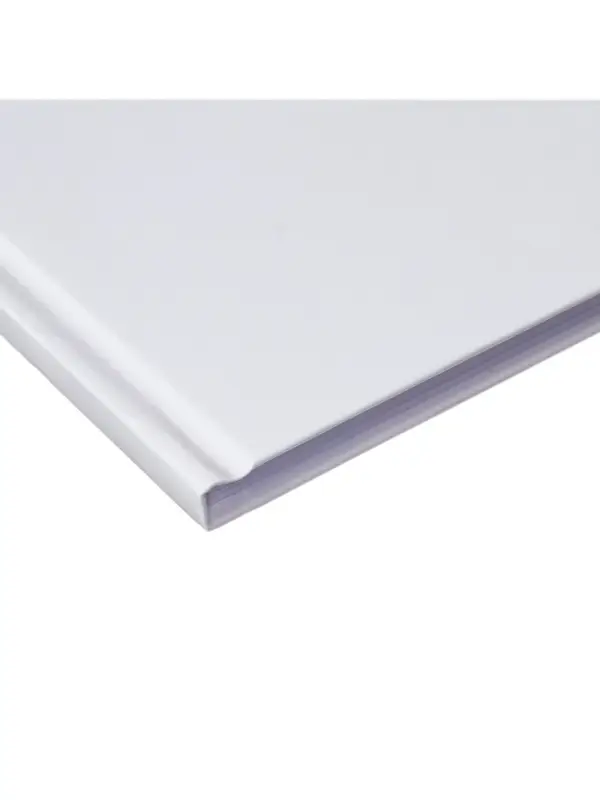 Дневник школьный для 1-11 классов, &laquo;Белый&raquo;, твёрдая обложка 7БЦ, глянцевая ламинация, 40 листов