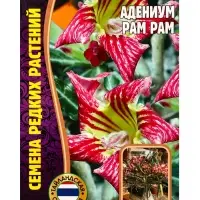 Семена цветов Адениум Pam Pam 3 шт.  12.29 г.