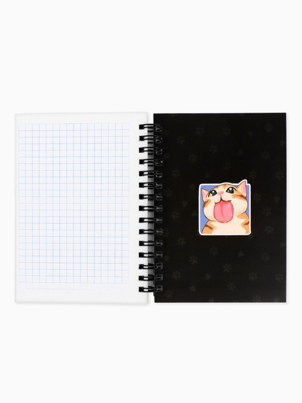 Записная книжка А6, 100 листов, в клетку  Записная книжка А6, 100 листов, в клетку "Мемные коты"