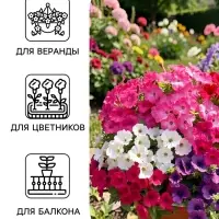 Семена цветов Петуния &laquo;Нуволари&raquo;, полуампельная, смесь сортов, F1, 5 шт., Farao, &laquo;АЭЛИТА&raquo;