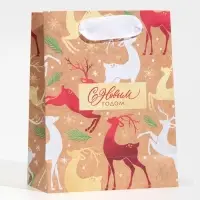 Пакет подарочный новогодний крафтовый «С Новым годом», S 12×15×5.5 см Пакет подарочный новогодний крафтовый «С Новым годом», S 12×15×5.5 см