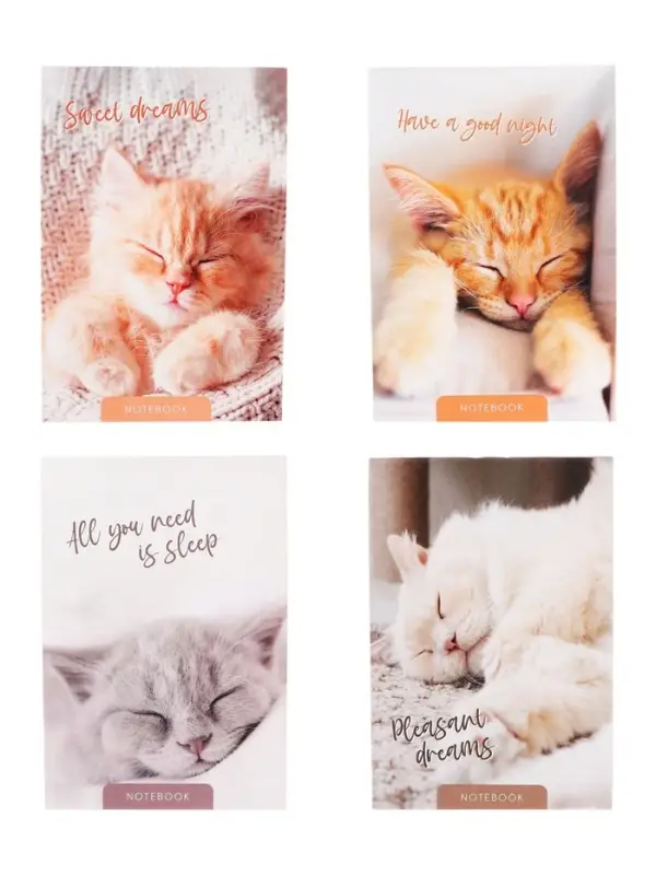 Набор блокнотов А6 40л кл на скобе Сладкий сон, мел карт, бл офс, 4В 20шт