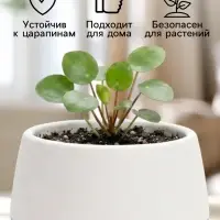 Горшок цветочный &laquo;Япония&raquo;, 125 мл, d=8 см, h=6.5 см, пластиковый, с поддоном, бело-бирюзовый