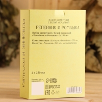 Шампунь "Репейник и Ромашка", 2 шт по 250 мл + мочалка