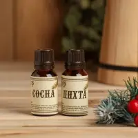 Новогодний набор эфирных масел &laquo;С Новым годом, дед мороз&raquo;, в подарочной коробке, сосна, пихта, 2 шт. по 15 мл