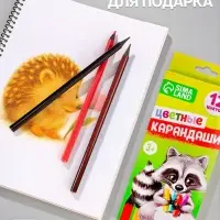 Карандаши Calligrata цветные заточенные, 12 цветов, пластиковые, в картонной коробке