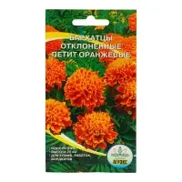 Семена Цветов однолетние Бархатцы "Петит оранжевые", отклонённые, махровые, 0,2 г