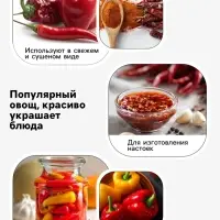 Семена Перец, &laquo;Беладонна&raquo;, F1, 5 шт., Seminis, &laquo;Агрос&raquo;