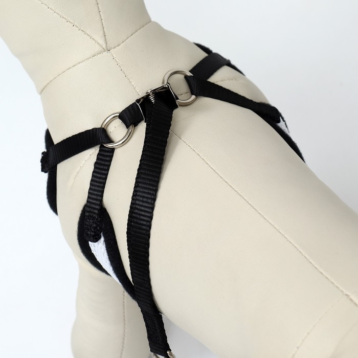 Комплект с мягкой шлейкой и бантиком , размер S, поводок 120 x 1,5 см, ОГ 23-42 см, серый Комплект с мягкой шлейкой и бантиком , размер S, поводок 120 x 1,5 см, ОГ 23-42 см, серый