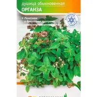 Семена Душица обыкновенная "Органза" 0,1 г Семена Душица обыкновенная "Органза" 0,1 г