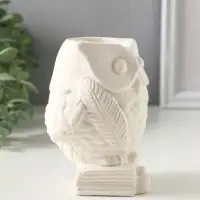 Подставка для мелочей &laquo;Сова на книгах с пером&raquo;, 10&times;8 см, гипс