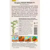 Семена Огурец &laquo;Наша Маша&raquo;, F1, партенокарпический, 10 шт., &laquo;АЭЛИТА&raquo;