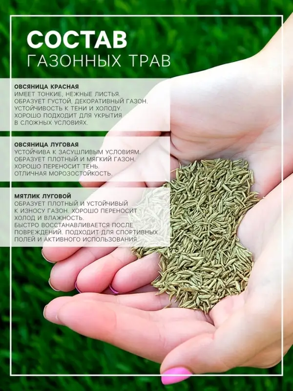 Газон &laquo;Гном&raquo; 5 кг