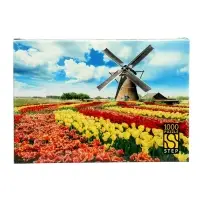 Пазл 1000 эл. "Мельница в тюльпанах" 79822