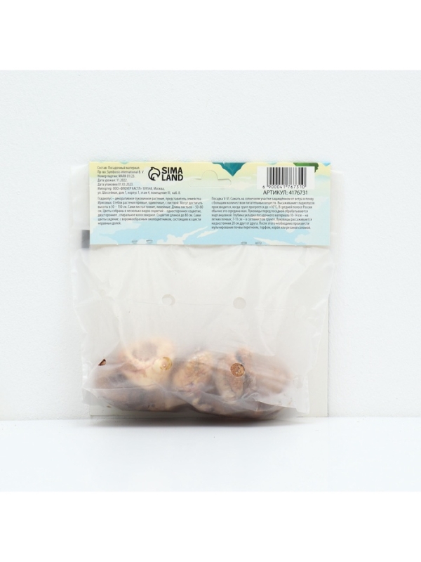 Гладиолус Низкорослый «Импрессив», луковица цветов в пакете с перфорацией, р-р 10+, 7 шт.