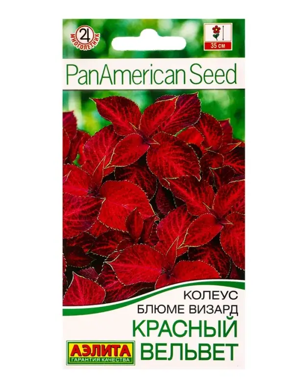 Семена цветов Колеус блюме Красный вельвет Мн Спецсерия PanAmerican, Ц/П,5 шт. Семена цветов Колеус блюме Красный вельвет Мн Спецсерия PanAmerican, Ц/П,5 шт.