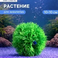 Растение искусственное аквариумное &laquo;Шар&raquo;, с распылителем, 10&times;10 см