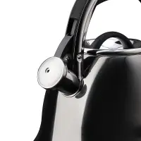 VETTA Чайник стальной 2,6л "Мари", индукция