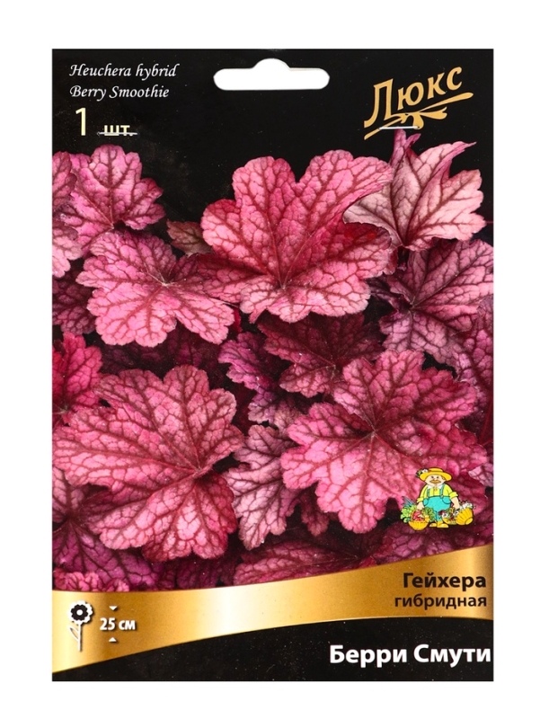 Гейхера (Хеухера) гибридная Берри Смути, корневище в пакете с торфогрунтом, р-р I, 1 шт. Гейхера (Хеухера) гибридная Берри Смути, корневище в пакете с торфогрунтом, р-р I, 1 шт.