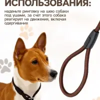 Ринговка для собак, 130&times;0.8 см, коричневая