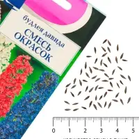 Семена цветов Будлея &laquo;Давида&raquo;, 0.01 г