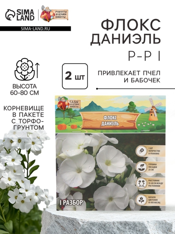 Флокс «Даниэль» корневище в пакете с торфогрунтом, р-р I, 2 шт.