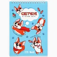 Скетчбук А5, 40 л 100 г/м&sup2; &laquo;Корги&raquo;