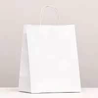Пакет крафт без печати, белый, круглая ручка 24×14×28 см