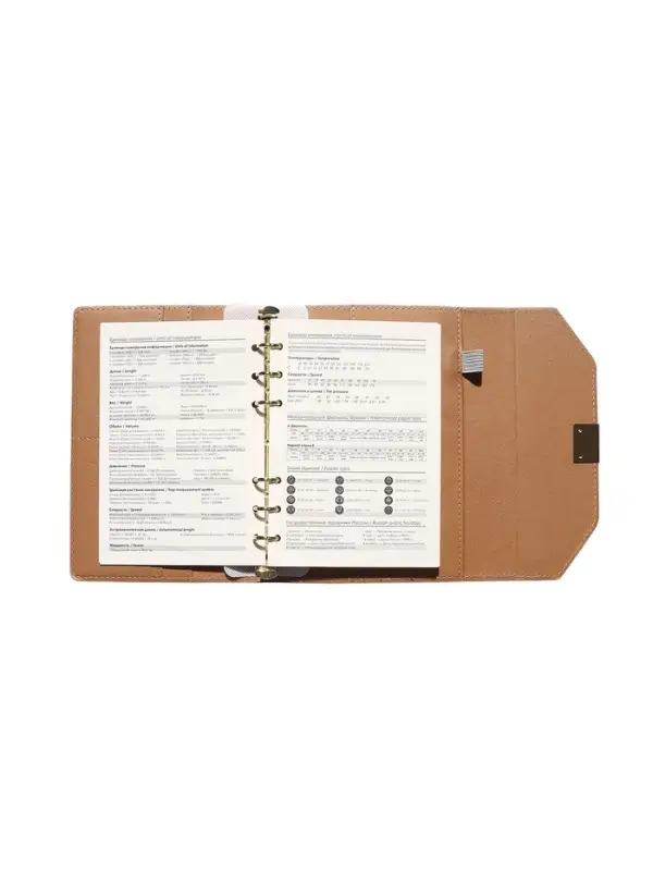 Органайзер на кольцах, C6, с клапаном, 80л, линия, к/зам, Бежевый Органайзер на кольцах, C6, с клапаном, 80л, линия, к/зам, Бежевый