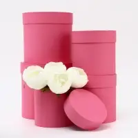 Набор шляпных коробок 5 в 1, розовый, 20&times;20 - 13&times;13 см