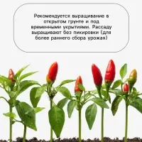 Семена Перец &laquo;Оранжевый принц&raquo;, 0.1 г, &laquo;Агрос&raquo;