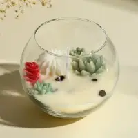 Ароматическая свеча в подсвечнике &laquo;Суккуленты&raquo;, 1 фитиль, кофе, 11&times;11&times;10 см
