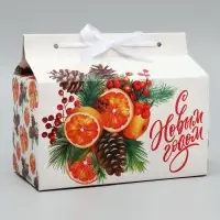 Коробка для сладостей «С Новым годом!», апельсины, 10 х 18 х 14 см