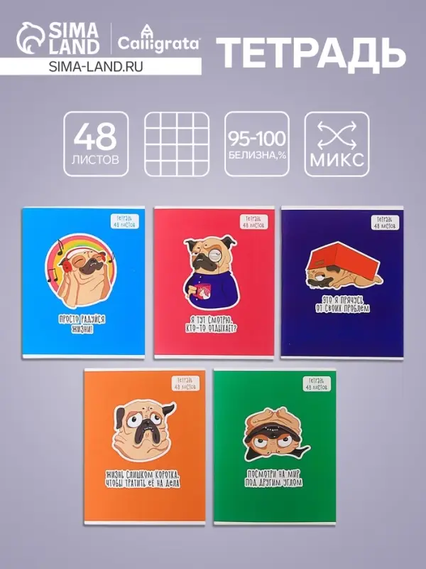 Тетрадь 48 листов в клетку Calligrata «Мопс», обложка мелованный картон, блок офсет, МИКС Тетрадь 48 листов в клетку Calligrata «Мопс», обложка мелованный картон, блок офсет, МИКС