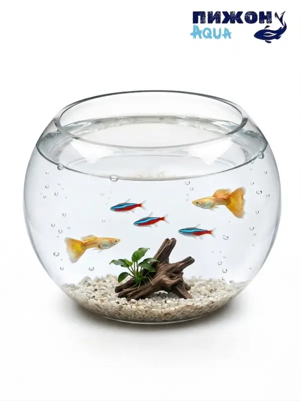 Аквариум круглый, 13.5&times;14.5 см, стекло, прозрачный
