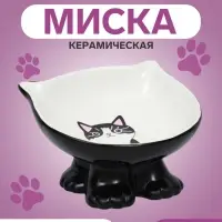 Миска &laquo;Киса&raquo;, 200 мл, 13&times;12&times;8 с, на подставке-лапках, керамика, чёрная