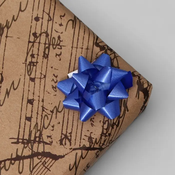 Бант - звезда №3.5, фасовка 8 шт., МИКС Бант - звезда №3.5, фасовка 8 шт., МИКС