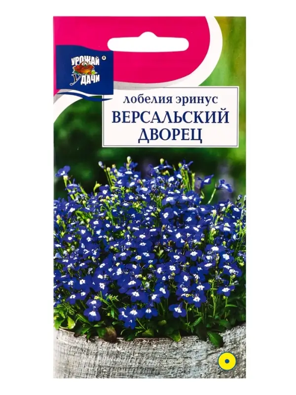 Семена цветов Лобелия низк. Версальский дворец  0,03 г.