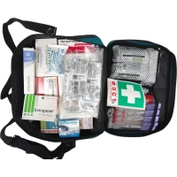Аптечка первой помощи коллективная ФЭСТ для ЗСГО (до 100-150 челов) (сумка)